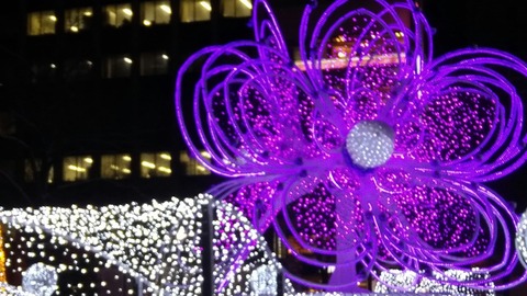 IMG01680_HDR
