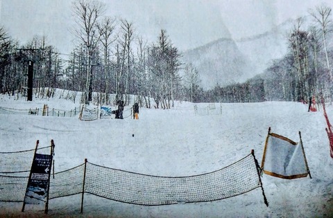 IMG03823~3-1