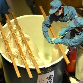 fd6fd06a92342c9a8ed737f89416cdb5