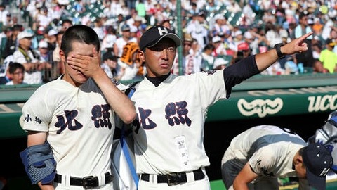 201908110000739-w500_3