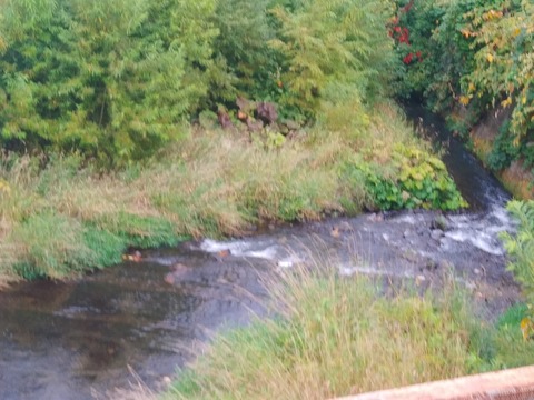 IMG00417