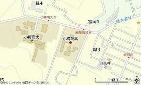 yjimage-11
