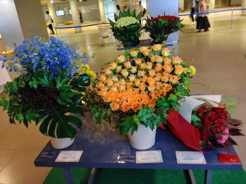 IMG07268_HDR