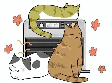 819b537c7f1cf8d583a9e0b70cfb785a_t