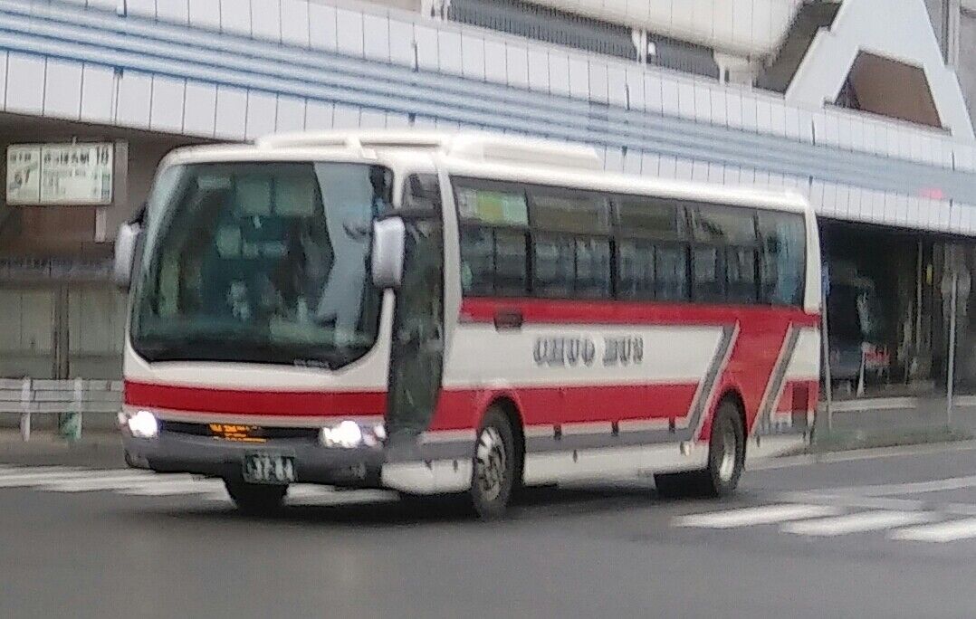 幅広type 北海道中央バス よろこび回数乗車券 - 通販 - www.bhaktiluhur.org