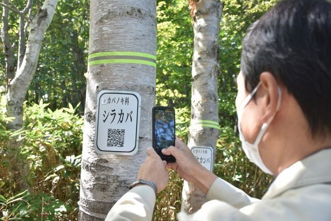 小樽市の上空に現れた光の輪現象日暈 小樽天狗山散策路の木にｑｒコード付きの樹名板を設置 Otaru Renaissance