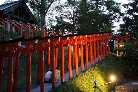 008516b1e17320e85aff28d40f21d626