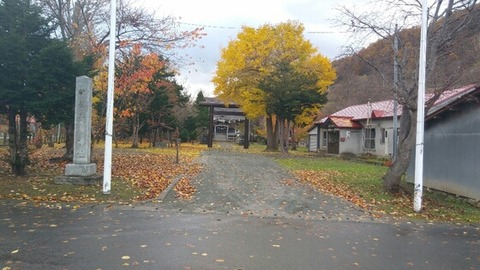img_1_m-6