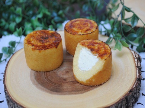 27a63d031a61457d979c68b81da48431