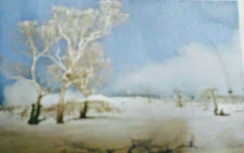 IMG02835~2-1