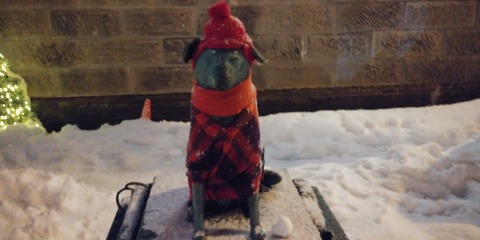IMG00444_HDR