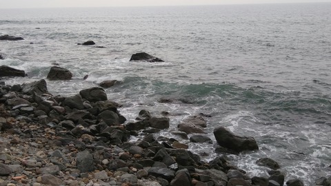 IMG00249