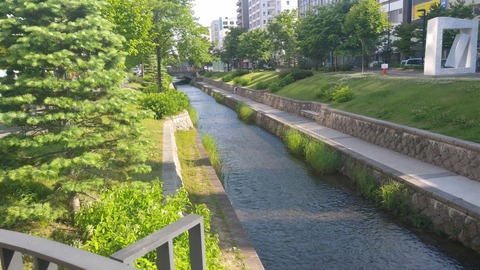 IMG06020