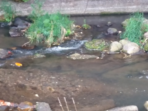 IMG00425_HDR