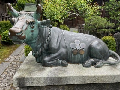 thumbnail_IMG_2575