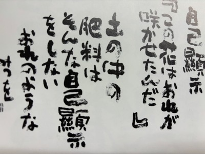 thumbnail_IMG_2584