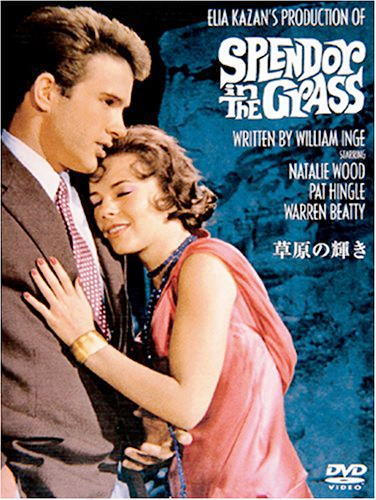 暗闇の中に世界がある ーこの映画を観ずして死ねるか!ー
1960年代
こーちゃん