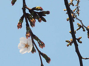 20130324a