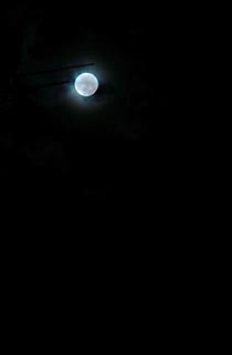 100331