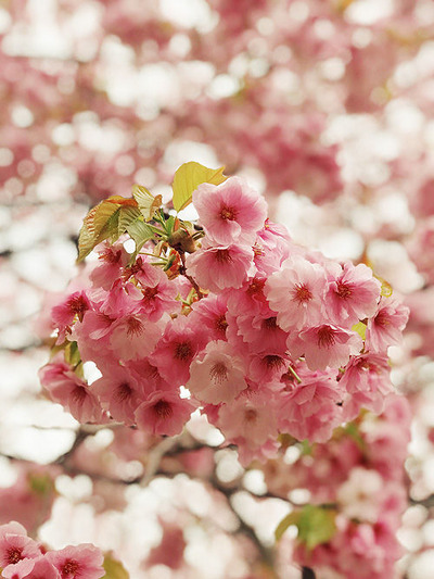 20180507a