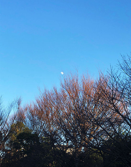 20190119e