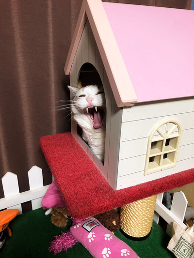 20180704a