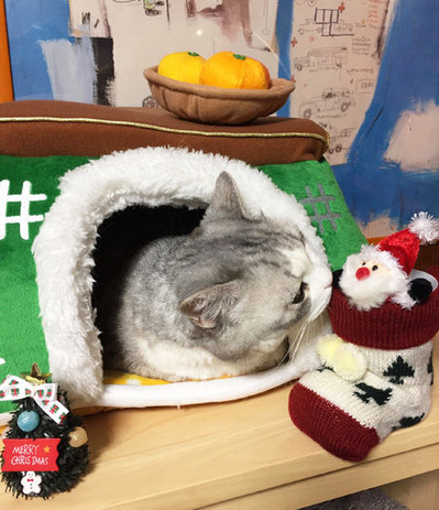 20161225d