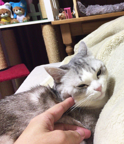 20170514b