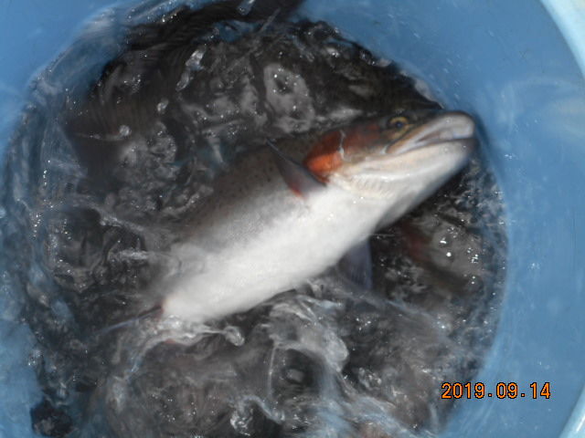 �����ε�