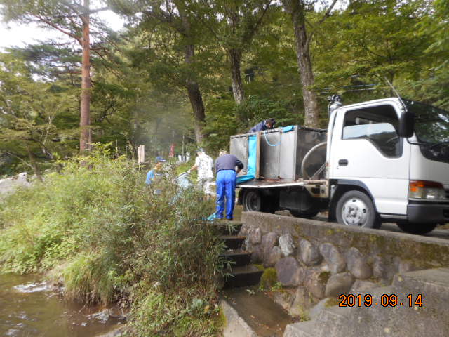 �Х������