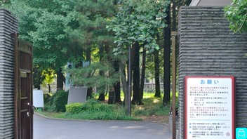 一橋大学 8