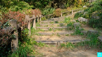 羊山公園方面 8