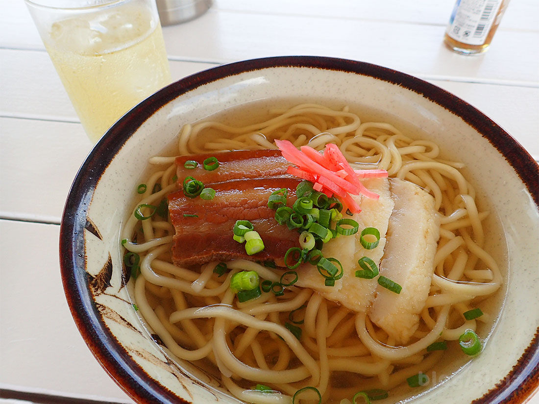 石垣北部でウミウシ探し 3本目 いろんなところで潜りたい