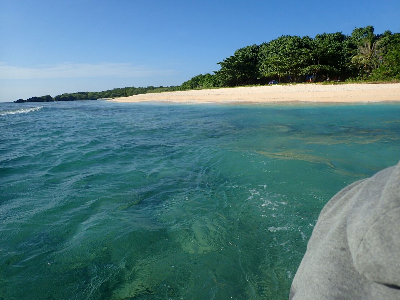 12月29日 アポ島上陸とダイビング3本目 Jesun いろんなところで潜りたい