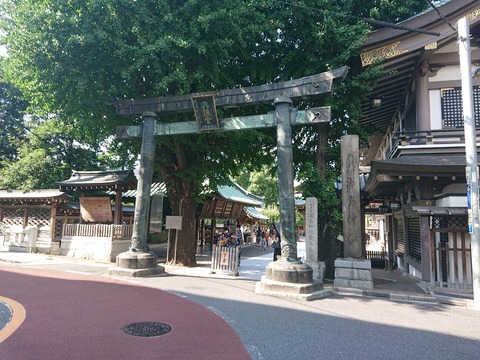 1550728438239019008-FYVLSXPUEAA0qxT