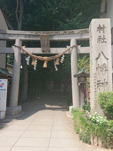 1551067035165020162-FYZ_Nw-VUAMnpgW