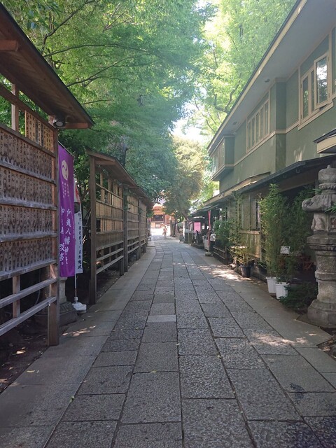 1551067035165020162-FYZ_OqFVQAANPW5