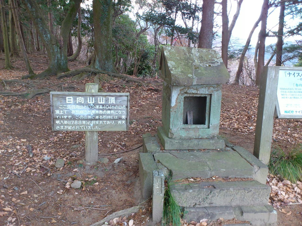 しらちゃん日記日向薬師〜日向山〜白山〜飯山観音(東丹沢)を正月トレイルランコメントトラックバック
