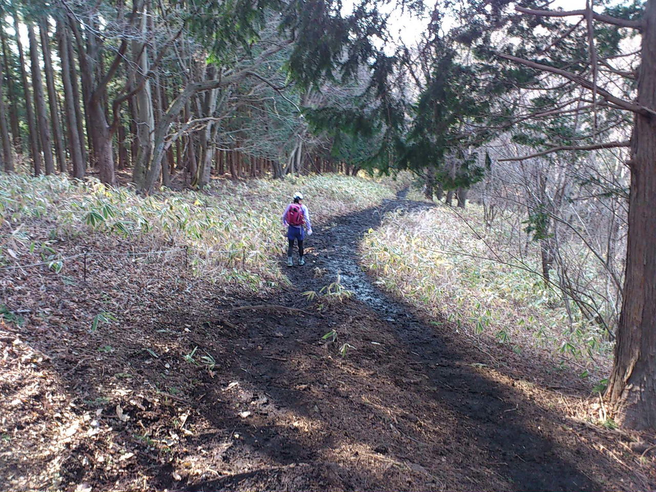 高尾山と陣馬山の往復 地図買った 陣馬そば食べた 高尾山の冬そば食べ損ねた しらちゃん日記 高尾山と陣馬山の往復 地図買った 陣馬そば食べた 高尾山の冬そば食べ損ねた しらちゃん日記