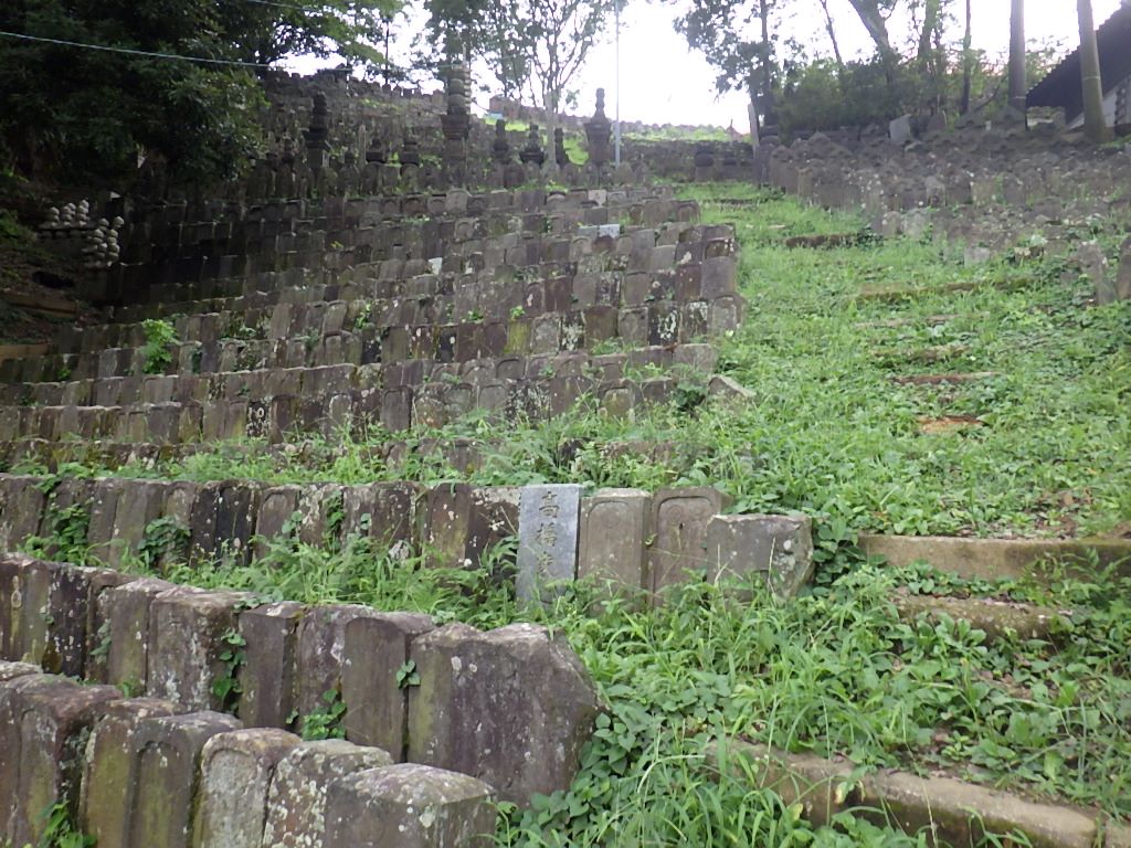 天気が不安定だったのでご近所トレイル 多摩丘陵の一部 しらちゃん日記