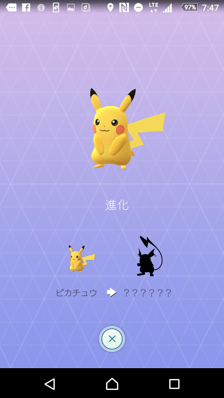 夏休みの自由研究 ポケモン採集 飼育と外国語名称の研究 しらちゃん日記