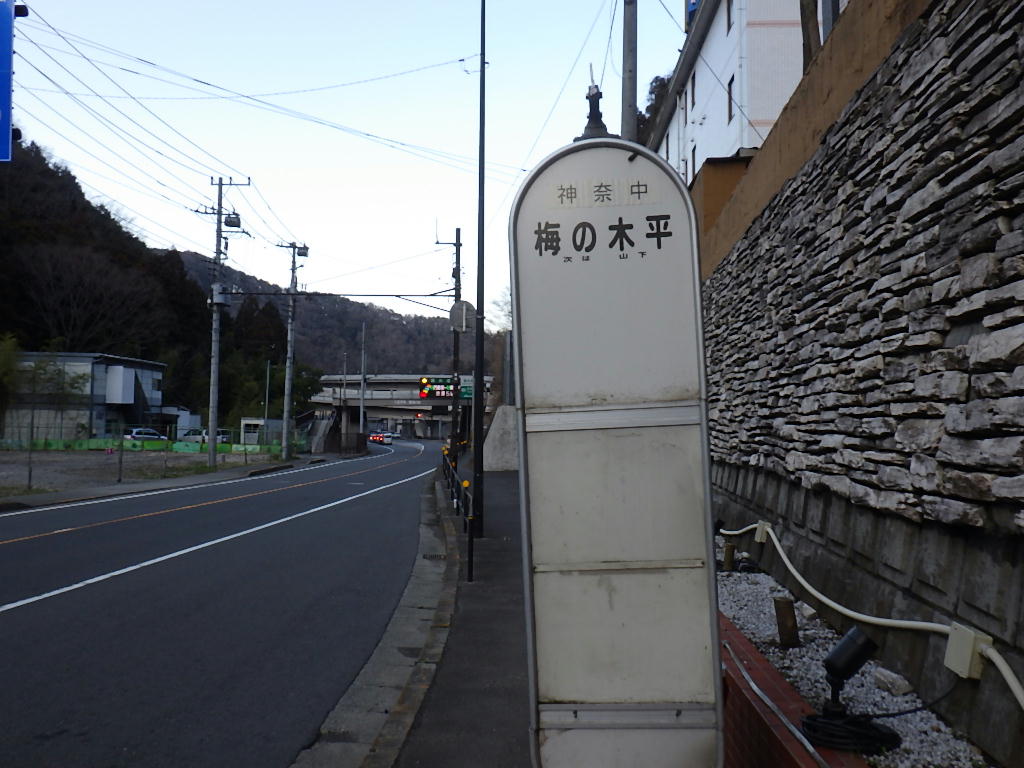 さよなら 高尾の湯ふろッぴィ 最後の営業日に南高尾トレイルラン しらちゃん日記