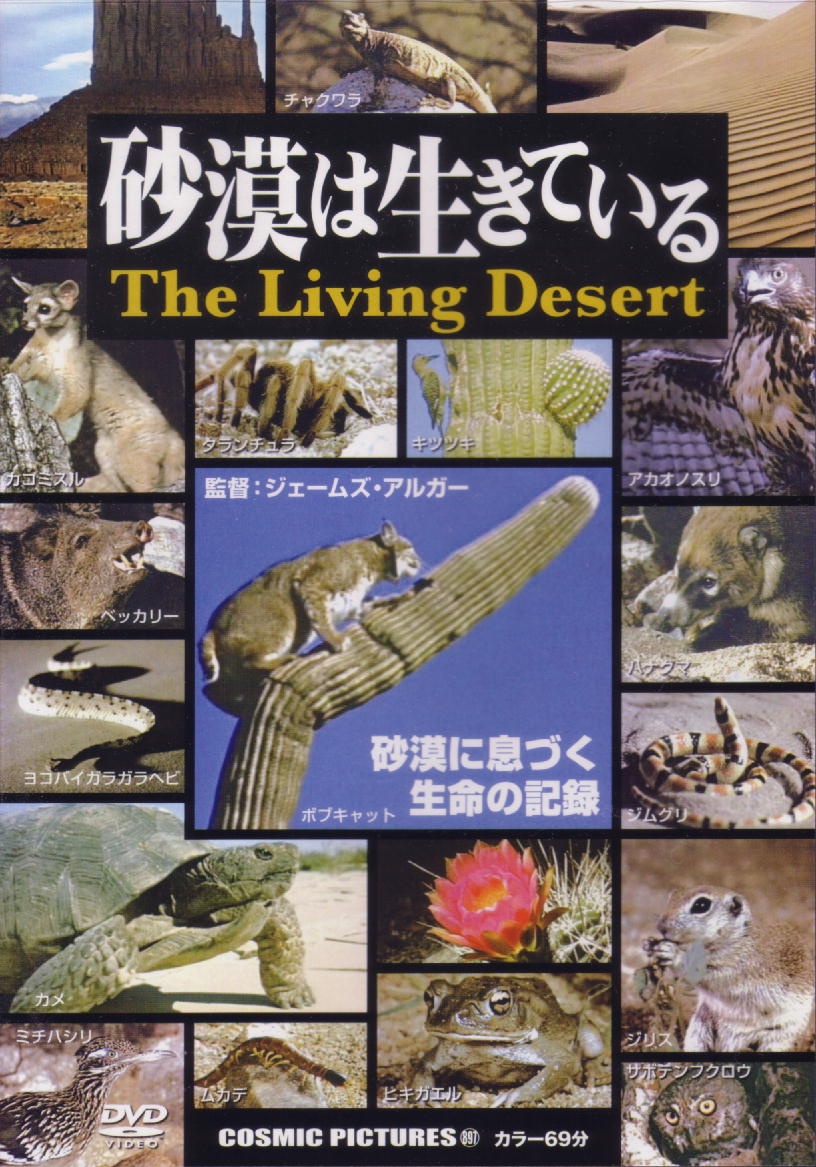 動物ドキュメンタリー 砂漠は生きている しらちゃん日記 動物ドキュメンタリー 砂漠は生きている しらちゃん日記