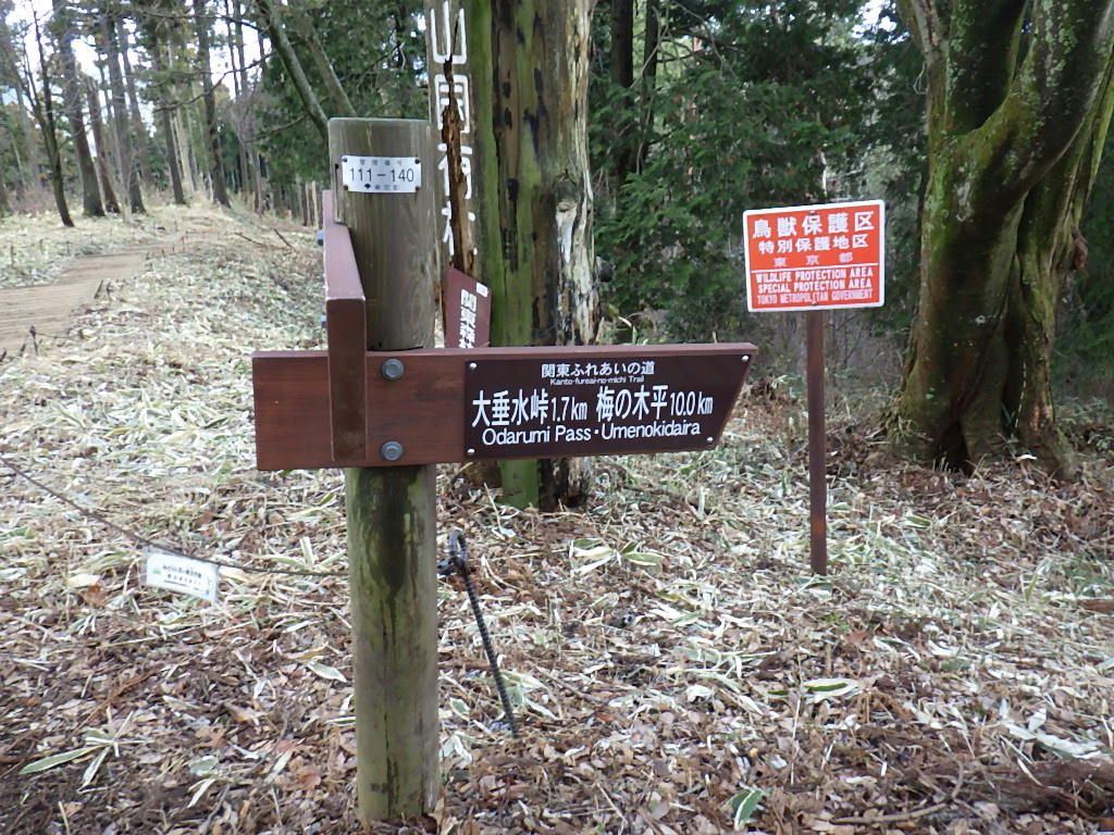さよなら 高尾の湯ふろッぴィ 最後の営業日に南高尾トレイルラン しらちゃん日記