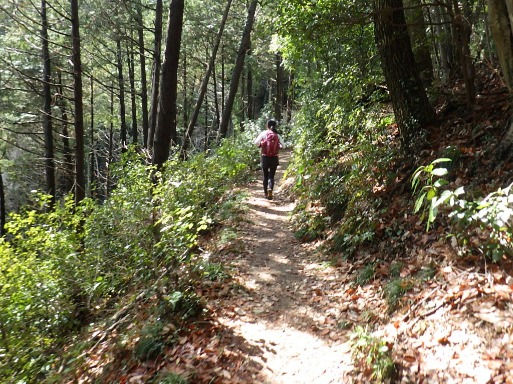 さよなら 高尾の湯ふろッぴィ 最後の営業日に南高尾トレイルラン しらちゃん日記 さよなら 高尾の湯ふろッぴィ 最後の営業日に南高尾トレイルラン しらちゃん日記