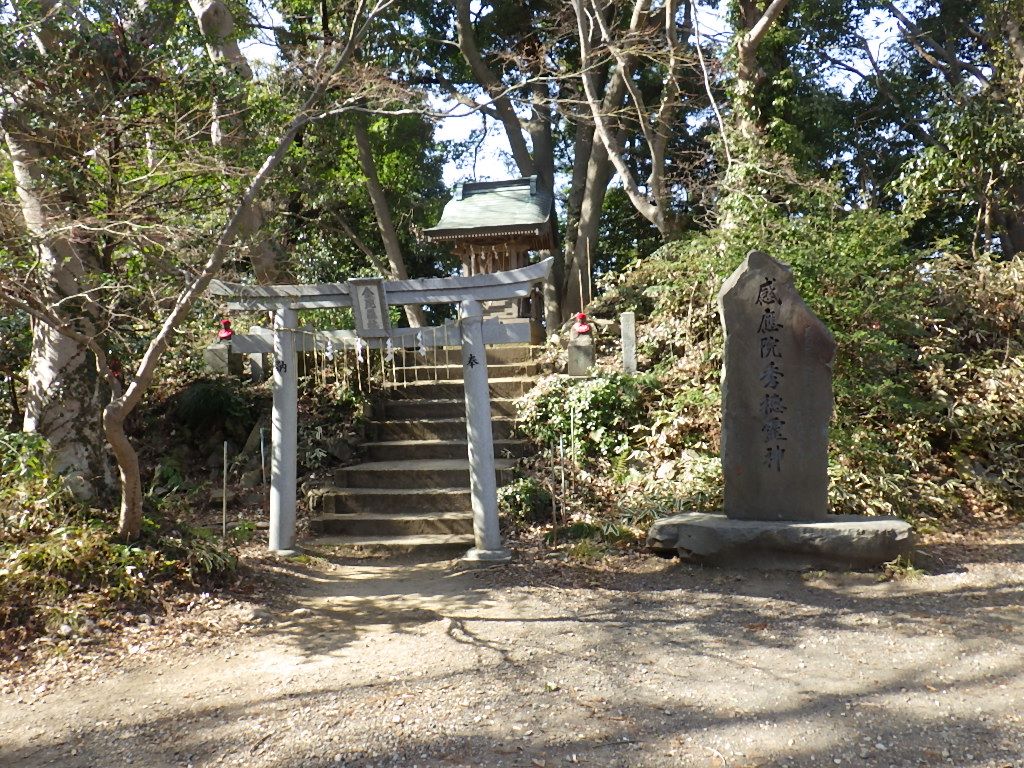 高尾山 南高尾で花粉症が発症 しらちゃん日記