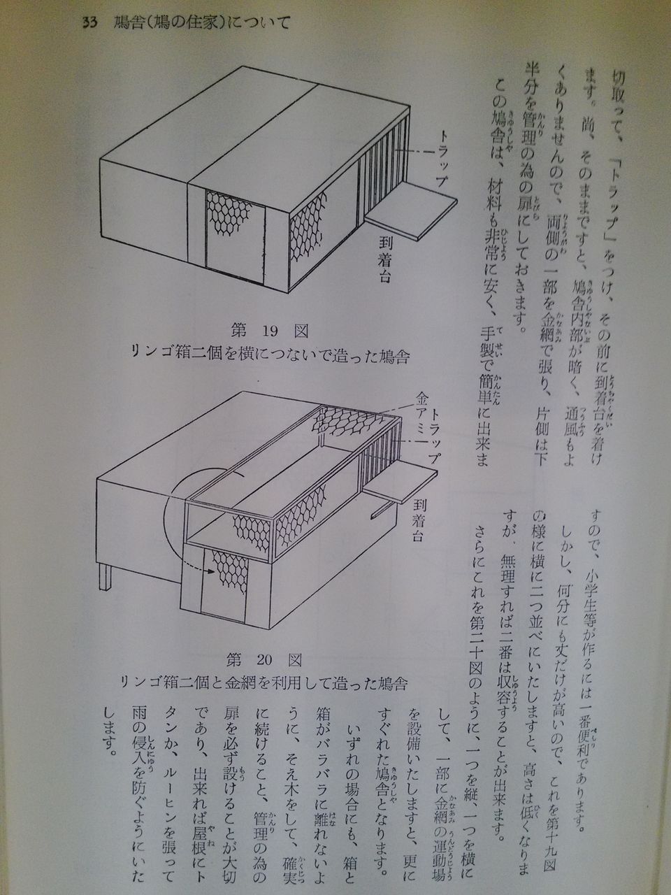 希少 伝書鳩の飼い方と訓練の仕方 上野修一郎・著 金園社 レース鳩