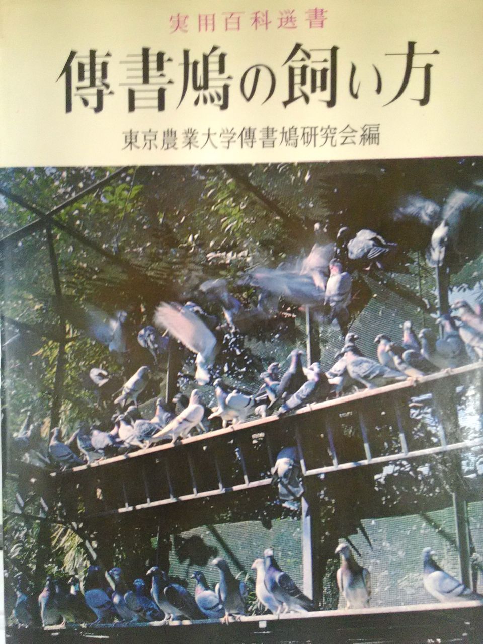 希少　レア　プレミア　伝書鳩と飼い方と訓練の仕方　上野修一郎・著 希少 伝書鳩の飼い方と訓練の仕方 上野修一郎・著 金園社 レース鳩