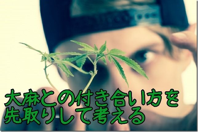 大麻 たいま が日本で合法化したらどう嗜むべきか Chun 平成生まれで年金受給者の暮らし 大麻 たいま が日本で合法化したらどう嗜むべきか Chun 平成生まれで年金受給者の暮らし