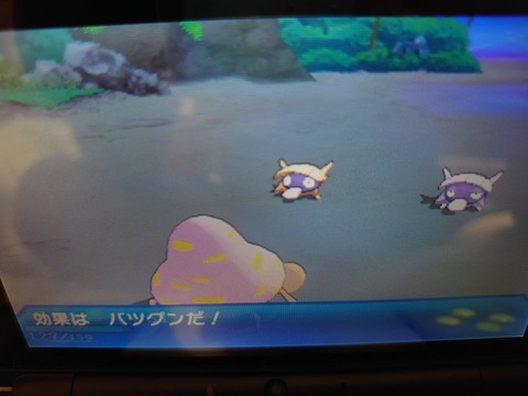 ポケモンusum 仲間呼びで色違いをゲット Siriのメモ帳